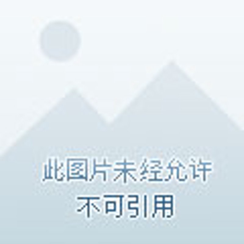 网店管家如何帮助商家提高运营效率?